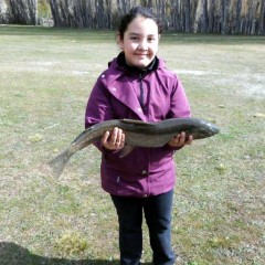 Muy buena pesca muy cerca del Complejo Las Lengas - Lago Posadas, Santa Cruz