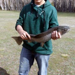 Muy buena pesca muy cerca del Complejo Las Lengas - Lago Posadas, Santa Cruz